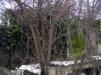 032 Meghatározandó